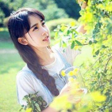 NG28下载地址官网