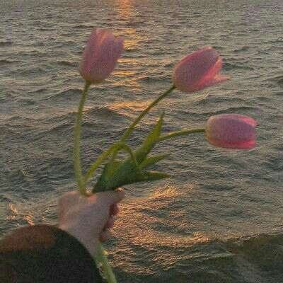 manbet下载地址截图